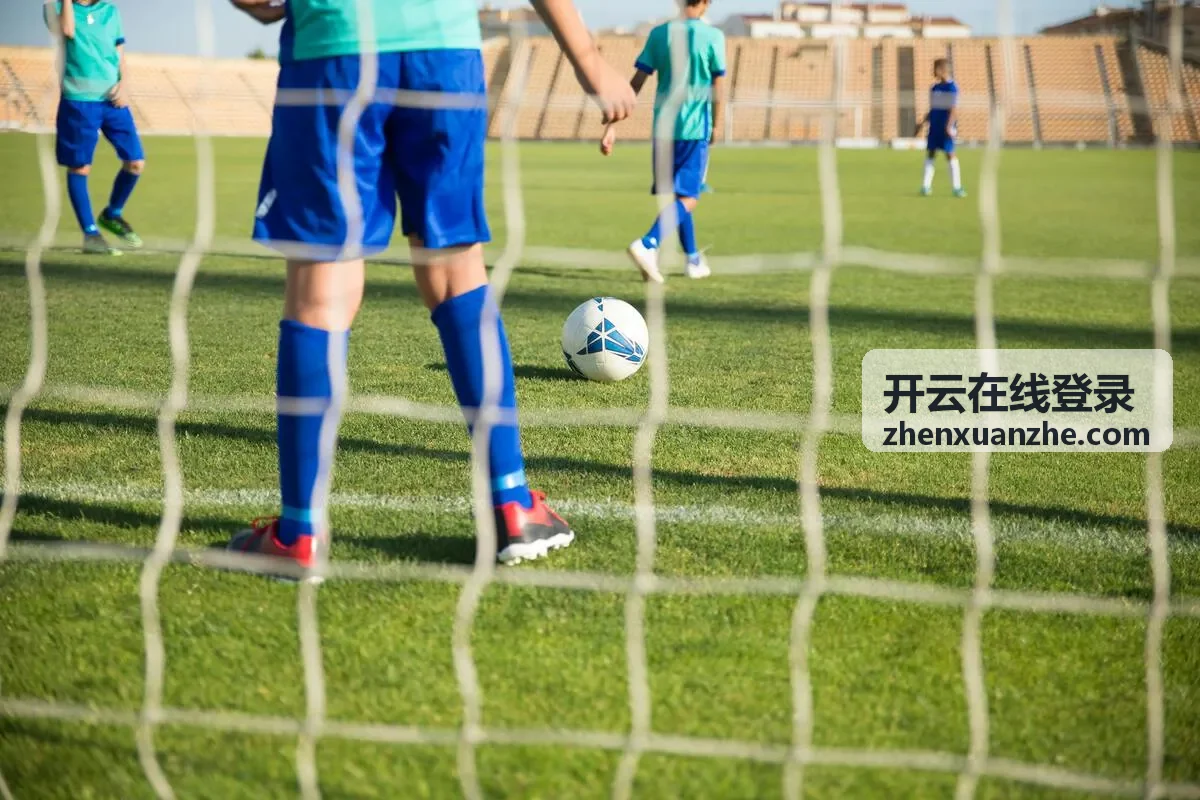 开云在线登录登录指南缩略图
