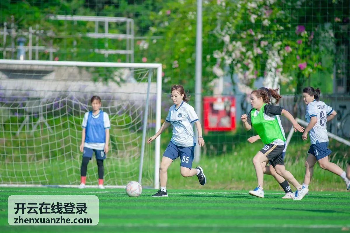 开云在线登录账号安全自检流程