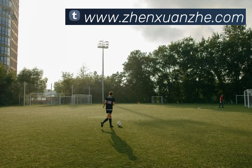 多媒体互动体验